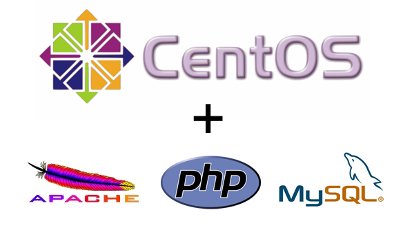How to Install Linux, Apache, MySQL, PHP (LAMP) stack on CentOS 6